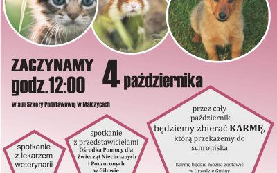Październik miesiącem zwierząt w gminie Malczyce