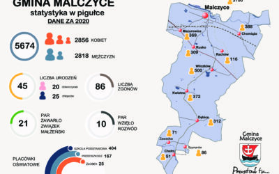 Statystka w pigułce za 2020 rok – gmina Malczyce