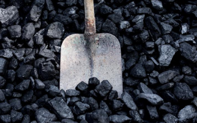 Zakupu węgla na preferencyjnych zasadach za pośrednictwem Gminy Malczyce
