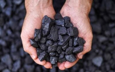 Informacja dotycząca zakupu węgla po preferencyjnej cenie