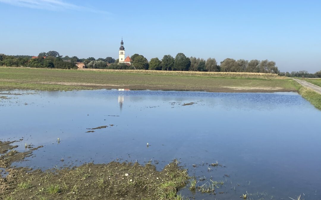 Informacja dla rolników o możliwości składania wniosków o oszacowanie szkód w uprawach rolnych spowodowanych wrześniową  powodzią