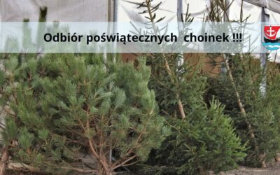 Odbiór poświątecznych choinek